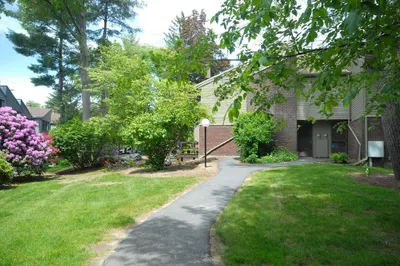 238 Brown Bear Crossing #238 1