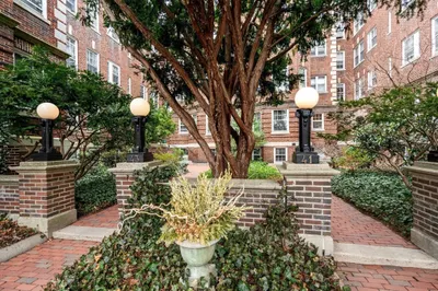 41 Linnaean St. #45