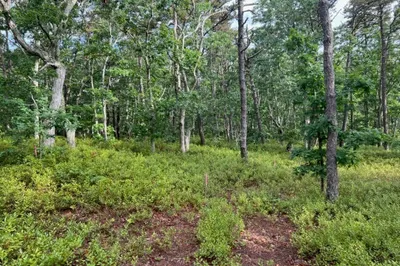 37 Oak Valley Rd 1