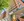 180 Beacon Street #6A Floor 6
