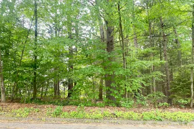 Lot 0 Surrey Lane 1