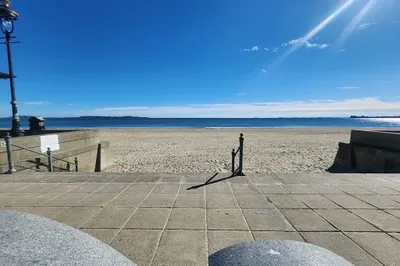 41 Oak Island St 1