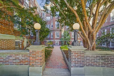 41 Linnaean St #1A
