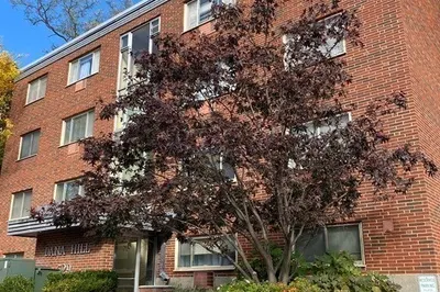 329 Harvard St #32