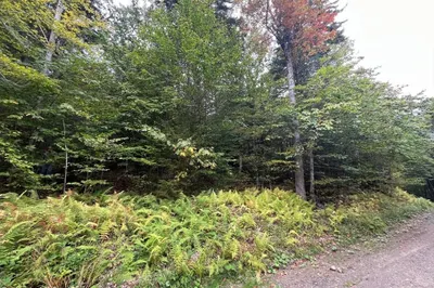 0 Manley Phelps Road 1