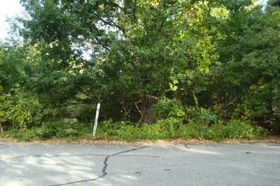6 Thomas Ct 1