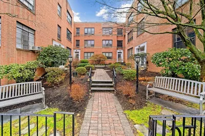 341 Tappan St #3