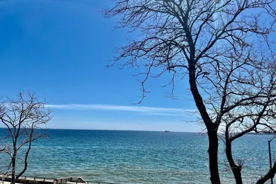 295 Lynn Shore Drive #301 1