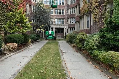 10 Dana St #7