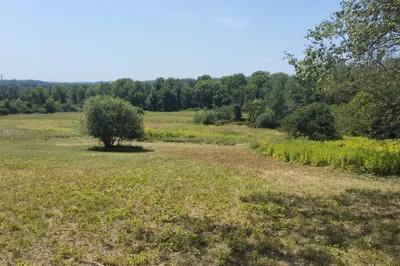 420 North Broadway_ Lot-2