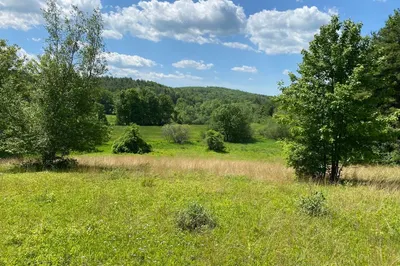 568 4 Mile Brook Rd 1