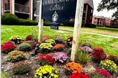 19 SAgAmore #A