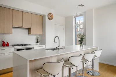 7 E Springfield St #4A