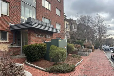 329-1 Harvard Street #1