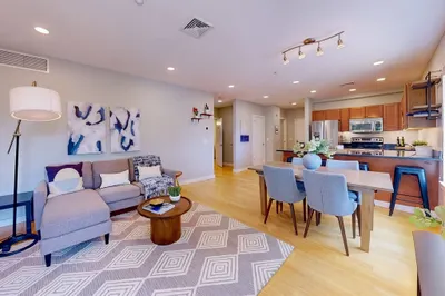99 Chestnut Hill Ave #220