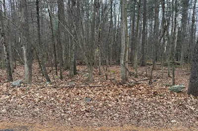 Lot 2 Rhodes Rd