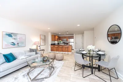 99 Chestnut Hill Ave #101
