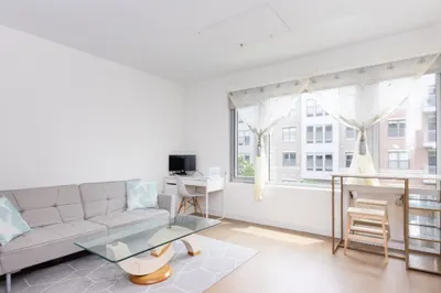 45 Lewis St #202