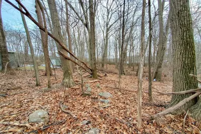 24 Birch Hill Road