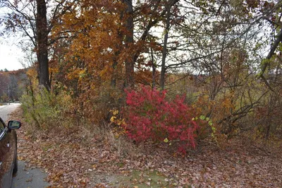 Lot 009 Piasta Rd