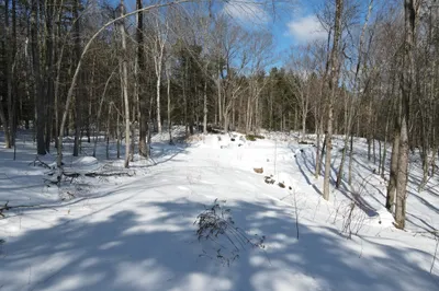 0 Fox Hill Rd 1