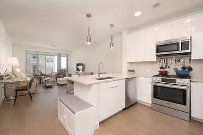 45 Lewis St #305