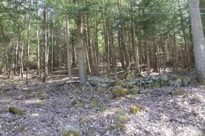 Lot 1 Thayer Hill Road 1