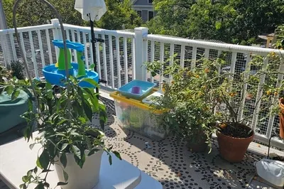19 Hilliard Street #3