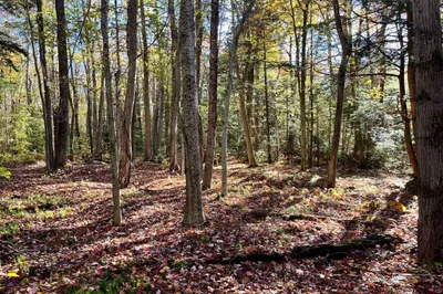 444 Gentian Hollow Rd 1