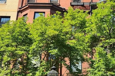 231 Commonwealth Ave #2