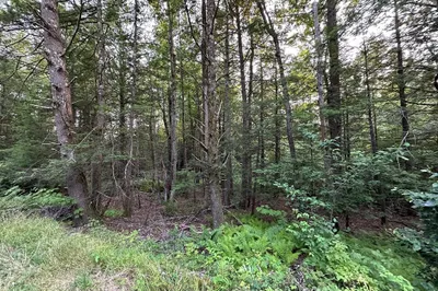 0 Shaw Road 1