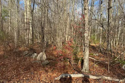 Lot 2 Jourdan Road 1