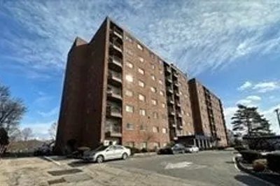 230 Willard Street #406