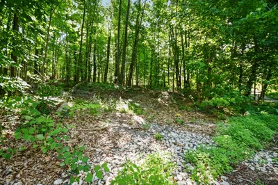 180 Chase Rd