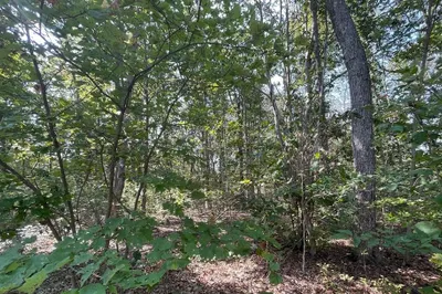 156 Rocky Hill Rd 1
