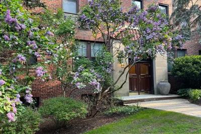 321 Tappan St #3