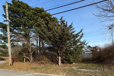 48 North Blvd
