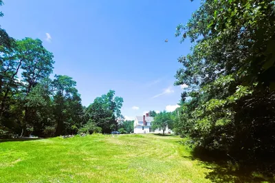 41 Amesbury Road