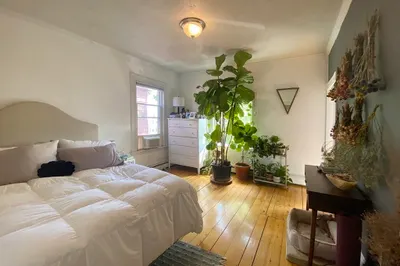 496 Sumner Street #3 1