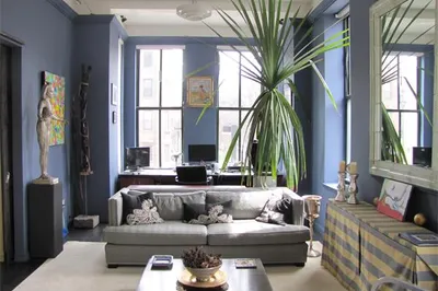 567 Tremont Street #5