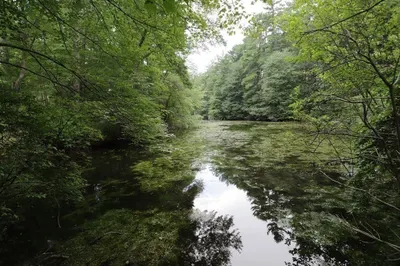 7 Bassett Brook Lane 1