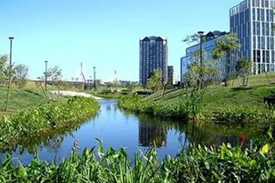 2 Earhart St #1003