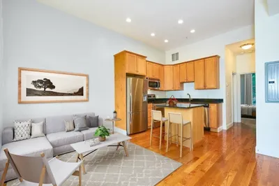 58 E Springfield Street #3