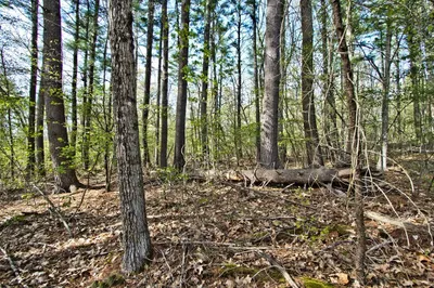 Lot A Kiwanis Beach Rd 1