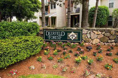 6 Walden Drive #2 1