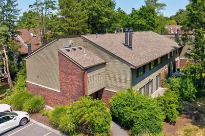 296 Brown Bear Crossing #296 1