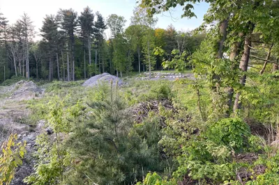 Lot 4 Foxboro Road