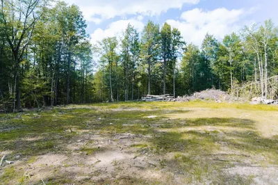 Lot 2 Bissell Rd 1