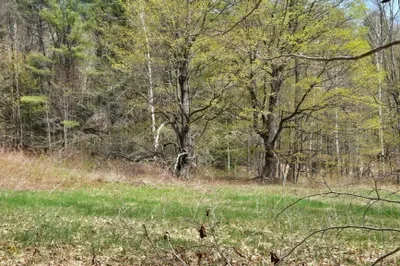 0 West Branch Road