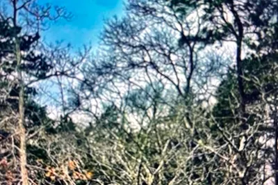2 Old Farms Trail 1